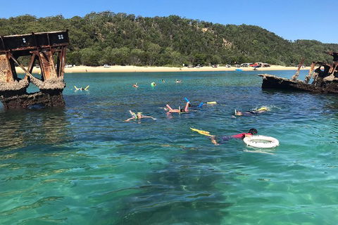 All Inclusive Dolphin And Tangalooma Wrecks Cruise - Perths Hotel 0