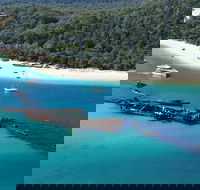 All Inclusive Tangalooma Wrecks Cruise Tour From Gold Coast - Perths Hotel