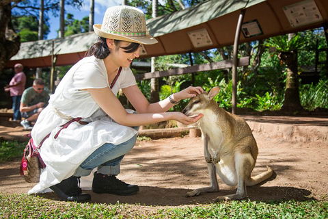Kuranda Day Tour, TKS-RFS GRAND GOLD PLUS 0930 - Perths Hotel 3