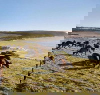 Kangaroo Island Personal Group Tours - Perths Hotel