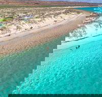Ningaloo in a Day - Full Day Hike and Snorkel Tour with Lunch - Perths Hotel