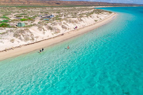 Ningaloo In A Day - Full Day Hike And Snorkel Tour With Lunch - Perths Hotel 0