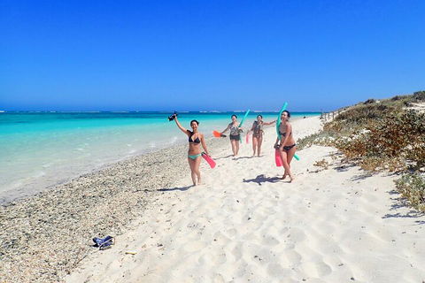 Ningaloo In A Day - Full Day Hike And Snorkel Tour With Lunch - Perths Hotel 1