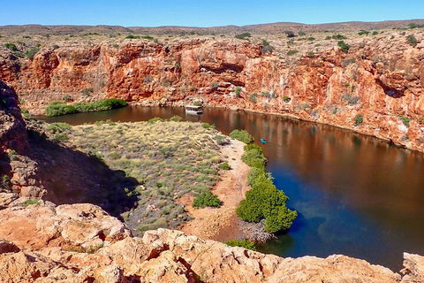 Ningaloo In A Day - Full Day Hike And Snorkel Tour With Lunch - Perths Hotel 2