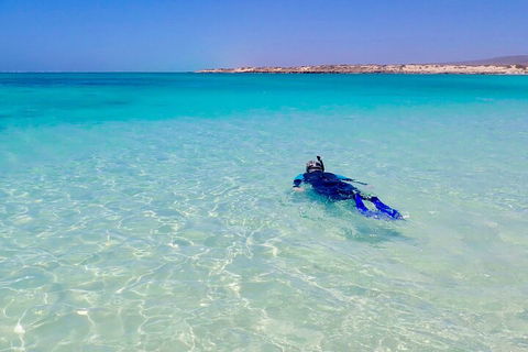Ningaloo In A Day - Full Day Hike And Snorkel Tour With Lunch - Perths Hotel 4