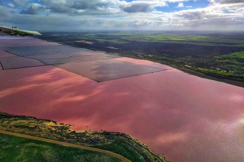 Kalbarri, Pink Lake And Abrolhos Islands Nature Tour - Perths Hotel 1