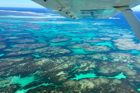 Kalbarri, Pink Lake And Abrolhos Islands Nature Tour - Perths Hotel 5
