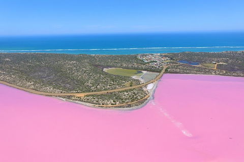 Pink Lake + Abrolhos Islands Nature Tour - Perths Hotel 4