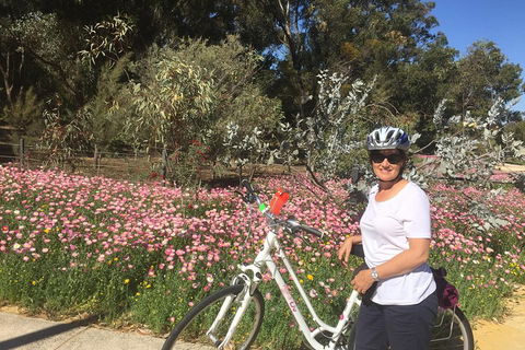 Perth Bike Tour - Beautiful Matilda Bay And Kings Park - Perths Hotel 1