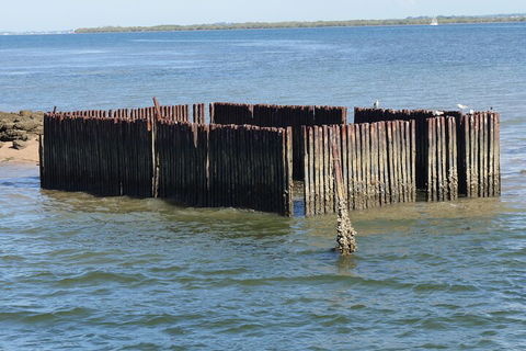 Best Of Moreton Bay Cruise - Perths Hotel 1