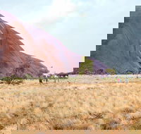 Uluru Sunrise and Guided Base Walk - Perths Hotel