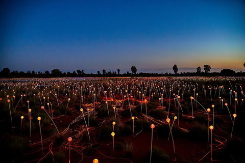 Uluru (Ayers Rock) Field Of Light Sunrise Tour - Perths Hotel 4