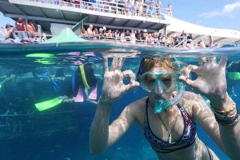 Great Barrier Reef Day Cruise From Cairns Including Snorkeling And Marine Biologist Presentation - Perths Hotel 0