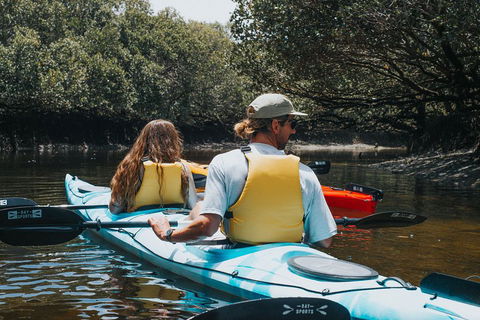 Kayak Tour In Adelaide Dolphin Sanctuary - Perths Hotel 2