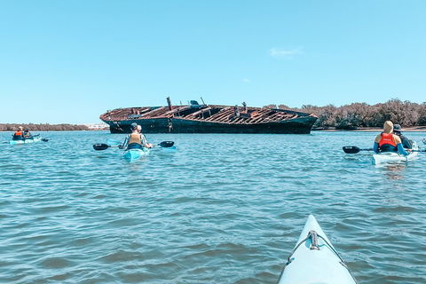 Kayak Tour In Adelaide Dolphin Sanctuary - Perths Hotel 3