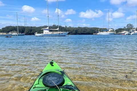 Kayak Tour In Adelaide Dolphin Sanctuary - Perths Hotel 4