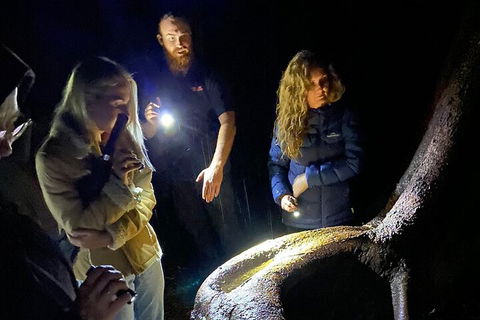 Evening Rainforest & Glow Worm Experience - Perths Hotel 2