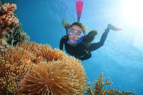 Quicksilver Outer Great Barrier Reef Snorkel Cruise From Port Douglas - Perths Hotel 2