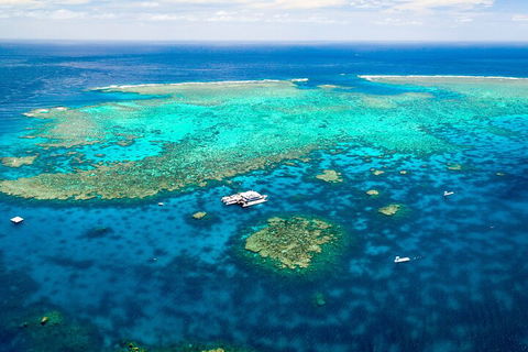 Quicksilver Outer Great Barrier Reef Snorkel Cruise From Port Douglas - Perths Hotel 5
