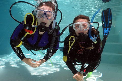 Quicksilver Dive 4 Day PADI Learn To Dive Course - Perths Hotel 2