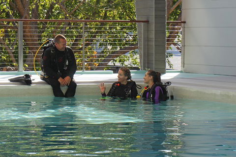 Quicksilver Dive 4 Day PADI Learn To Dive Course - Perths Hotel 3