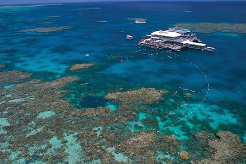 Ultimate 3-Day Great Barrier Reef Cruise Pass - Perths Hotel 3