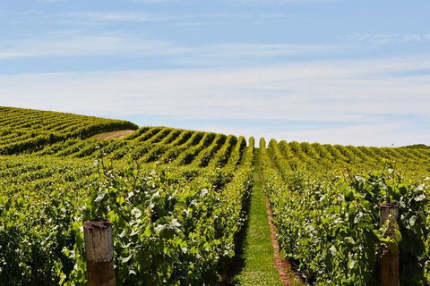 West Tamar Wine Tour - Perths Hotel 2