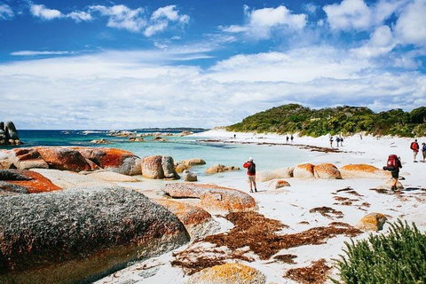 Wineglass Bay Private Charter Service - Perths Hotel 3