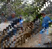 Fully guided E-Mountain Bike Tour on the beautiful Mornington Peninsula. - Perths Hotel