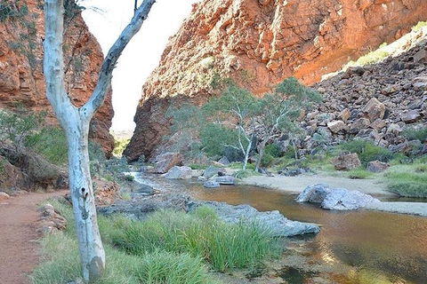 Alice Springs, Uluru Ayers Rock & Kings Canyon 8 Days Touring Package - Perths Hotel 2