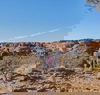 The Amazing Kings Canyon 4-Hours Walking Tour and Hike - Perths Hotel