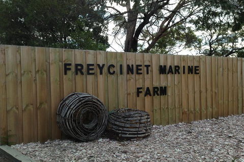 Active Day Tour One-Way From Launceston To Hobart Via Wineglass Bay - Perths Hotel 3