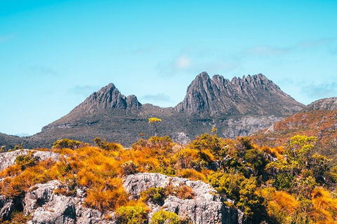 Cradle Mountain National Park Day Tour From Launceston - Perths Hotel 1