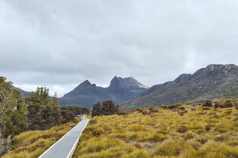 Cradle Mountain National Park Day Tour From Launceston - Perths Hotel 2