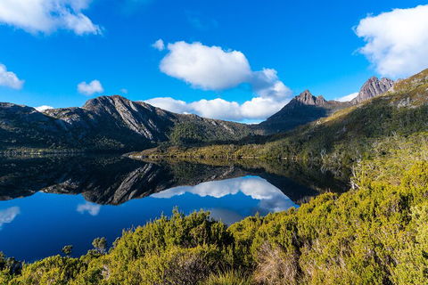 Cradle Mountain National Park Day Tour From Launceston - Perths Hotel 3