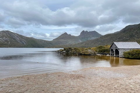 Cradle Mountain National Park Day Tour From Launceston - Perths Hotel 4