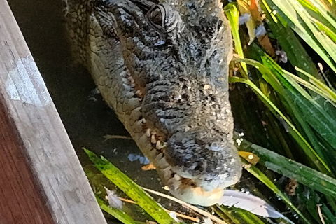 Litchfield Park Adventures And Jumping Crocodile Cruise + Butterfly Farm - Perths Hotel 1