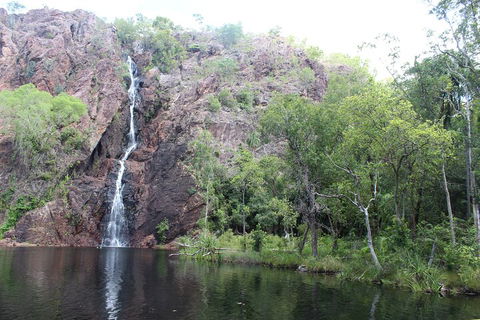 Jumping Crocodile Cruise And Berry Springs Nature Park - Perths Hotel 5