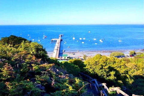 Mornington Peninsula Sightseeing Tour For 2-6 Guests. - Perths Hotel 1