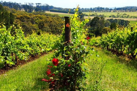 Mornington Peninsula Sightseeing Tour For 2-6 Guests. - Perths Hotel 3