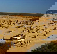 1-Day Pinnacles and Yanchep Tour from Perth including Fish and Chips Lunch - Perths Hotel