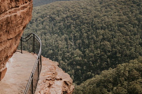 Private Blue Mountains And Wildlife Park Tour From Sydney With Barbecue Lunch - Perths Hotel 5