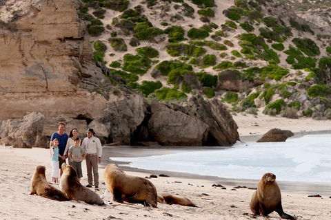 Kangaroo Island Scenic Trail Tour - Perths Hotel 5