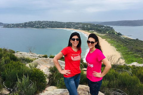Small-Group Sydney's Northern Beaches And Ku-ring-gai National Park Bus Tour - Perths Hotel 3