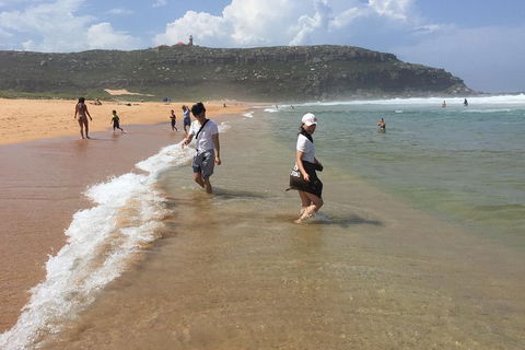 Small-Group Sydney's Northern Beaches And Ku-ring-gai National Park Bus Tour - Perths Hotel 5
