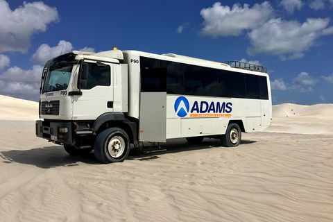 Pinnacles Desert, Koalas And Sandboarding 4WD Day Tour From Perth - Perths Hotel 2