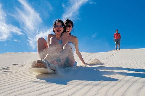 Pinnacles Desert, Koalas And Sandboarding 4WD Day Tour From Perth - Perths Hotel 3
