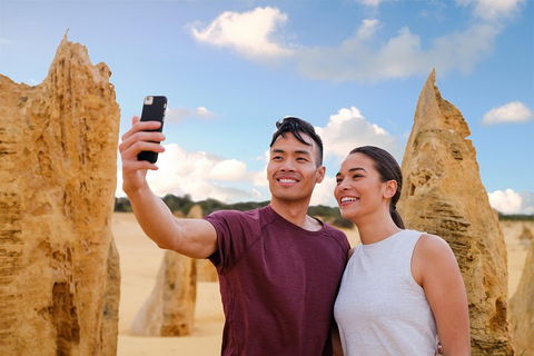 Pinnacles Desert, Koalas And Sandboarding 4WD Day Tour From Perth - Perths Hotel 4