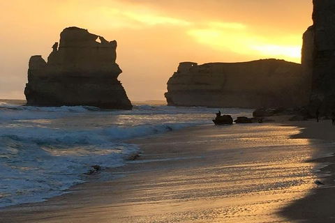Great Ocean Road Small-Group Ecotour From Melbourne - Perths Hotel 5