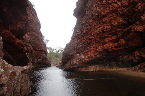 West MacDonnell Ranges Half - Day Tour - Perths Hotel 4